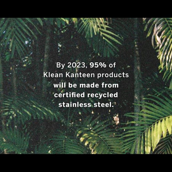 VS PINK Green Earth Day BE KIND TO THE PLANET Klean Kanteen Water Bottle - Picture 7 of 7